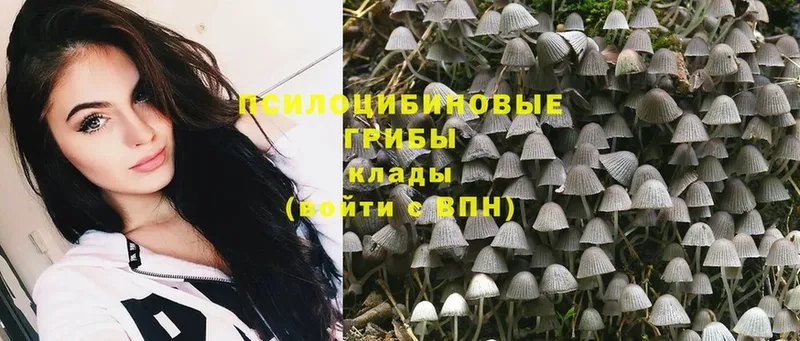 Псилоцибиновые грибы MAGIC MUSHROOMS  Киров 